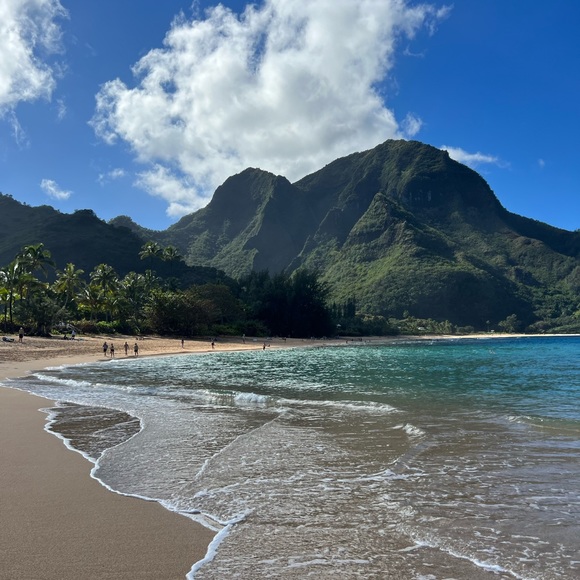 Meet your Posher, Veronica - Picture 1 of 1